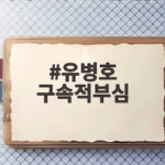 유병호 구속적부심 기각, 구속 유지 유병호 구속적부심