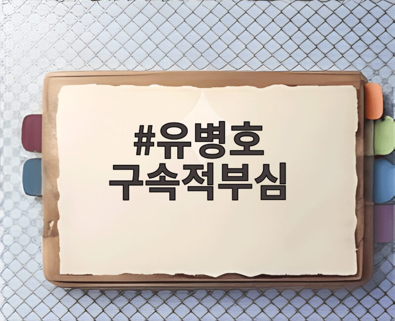 유병호 구속적부심 기각, 구속 유지 1 유병호 구속적부심
