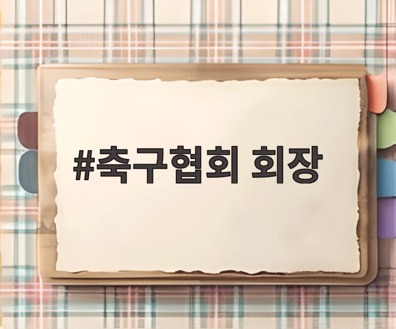 축구협회 회장 선거인단 확대 새 국면 1 축구협회 회장