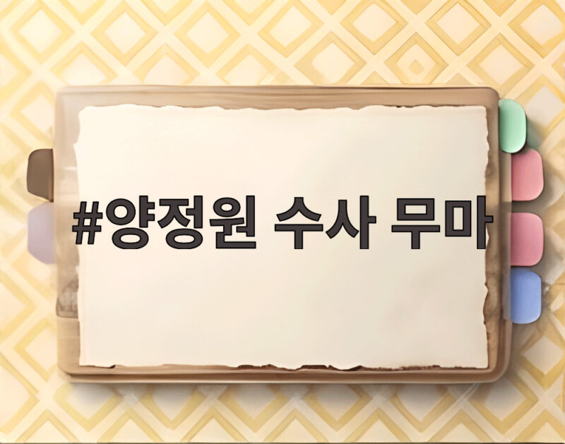 양정원 수사 무마 경찰 구속 전말 1 양정원 수사 무마