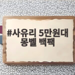 사유리 5만원대 몽벨 백팩