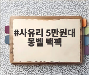 사유리 5만원대 몽벨 백팩