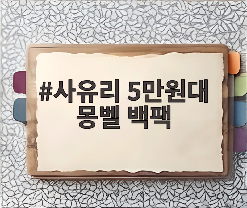 사유리 5만원대 몽벨 백팩 가볍고 편한 데일리 추천 1 사유리 5만원대 몽벨 백팩