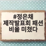 정은채 제작발표회 패션 비율 미쳤다