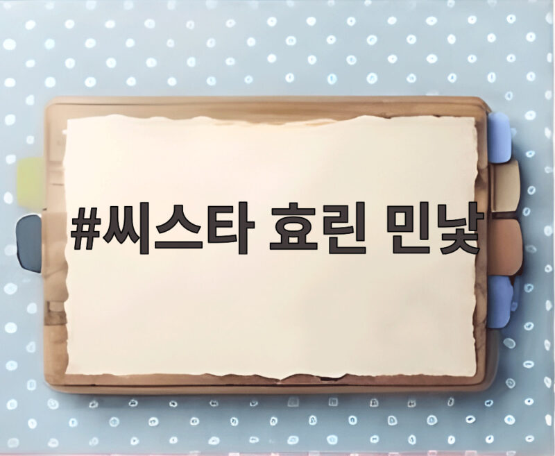 씨스타 효린 민낯 청순미모 화제 1 씨스타 효린 민낯