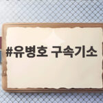 유병호 구속기소