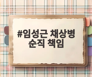 임성근 채상병 순직 책임