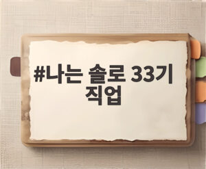 나는 솔로 33기 직업