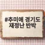 추미애 경기도 재정난 반박 세수 구조 개편 필요 추미애 경기도 재정난 반박