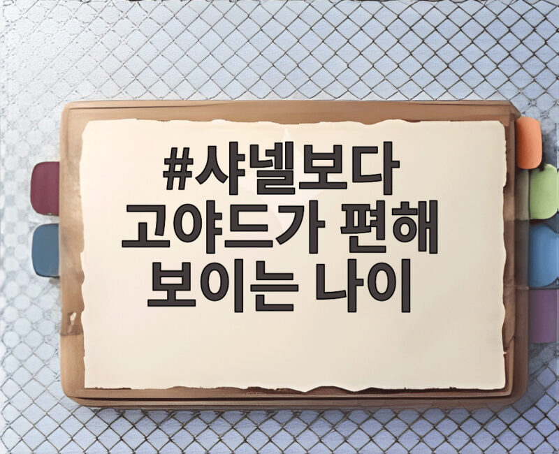 샤넬보다 고야드가 편해 보이는 나이 1 샤넬보다 고야드가 편해 보이는 나이