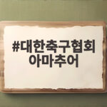 대한축구협회 아마추어 선거인단 2만명 대한축구협회 아마추어