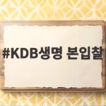 KDB생명 본입찰 3파전 성립 KDB생명 본입찰
