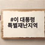이 대통령 특별재난지역