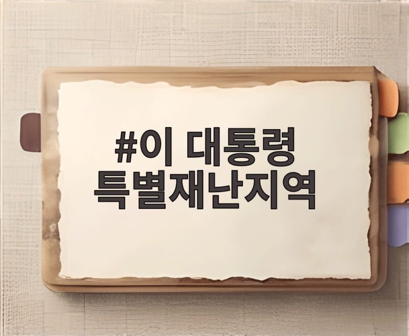 이 대통령 특별재난지역