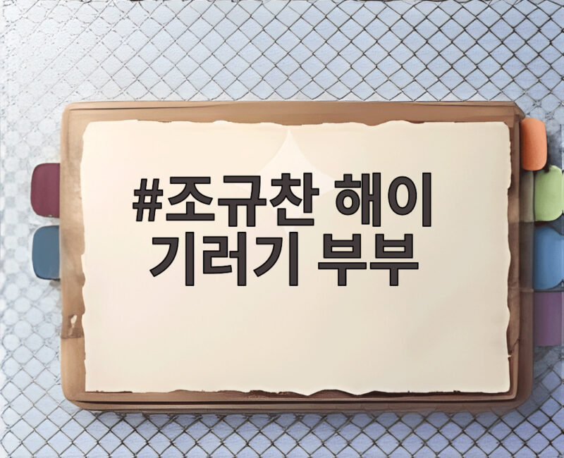 조규찬 해이 기러기 부부 방송 첫 동반 출연 1 조규찬 해이 기러기 부부
