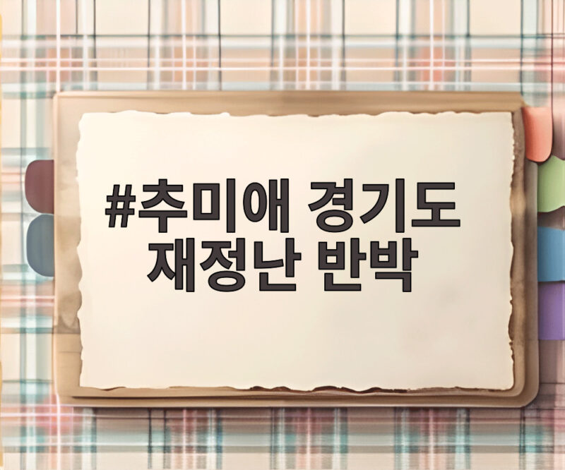 추미애 경기도 재정난 반박 세수 구조 문제 1 추미애 경기도 재정난 반박