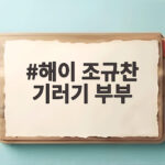 해이 조규찬 기러기 부부 첫 동반 출연 해이 조규찬 기러기 부부