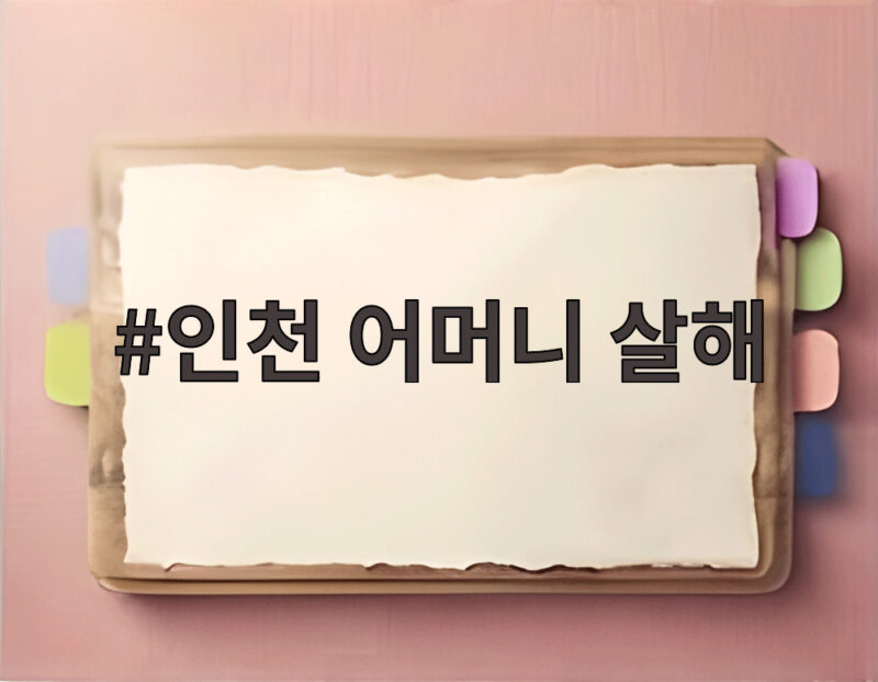 인천 어머니 살해 사건 전말과 범행 동기 1 인천 어머니 살해
