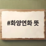 화양연화 뜻 꽃처럼 아름다운 순간의 의미 화양연화 뜻