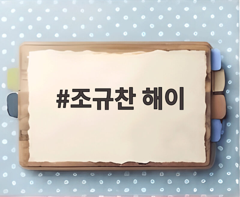 조규찬 해이 부부 해피투게더 1 조규찬 해이