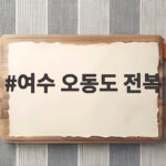 여수 오동도 전복
