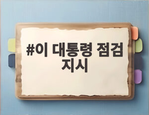 이 대통령 점검 지시