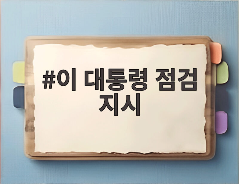 이 대통령 결혼 페널티 점검 지시 1 이 대통령 점검 지시