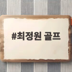 최정원 골프 부진 딛고 제주삼다수 2위 반등 최정원 골프