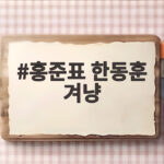 홍준표 한동훈 겨냥
