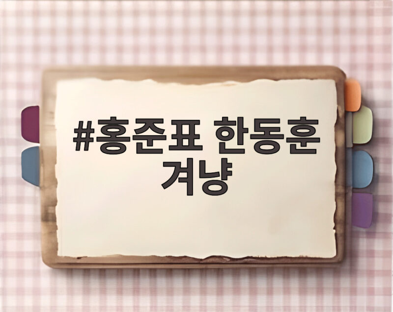 홍준표 한동훈 겨냥