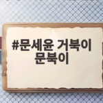 문세윤 거북이 문북이