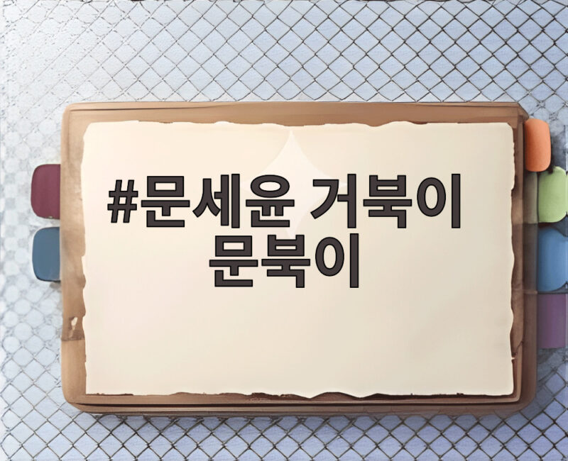 문세윤 거북이 문북이