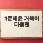 문세윤 거북이 터틀맨