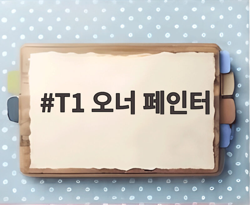 T1 오너 페인터