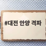 대전 안양 격파 2연승 달성 대전 안양 격파