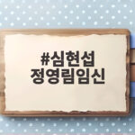 심현섭 정영림임신 하루 8번 심현섭 정영림임신