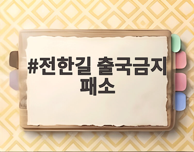 전한길 출국금지 패소