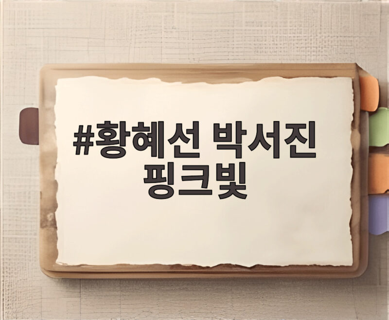황혜선 박서진 핑크빛