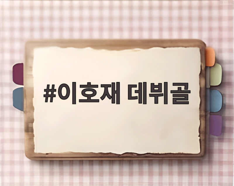 이호재 독일 데뷔전 데뷔골 터뜨려 1 이호재 데뷔골