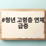 청년 고령층 연체 급증