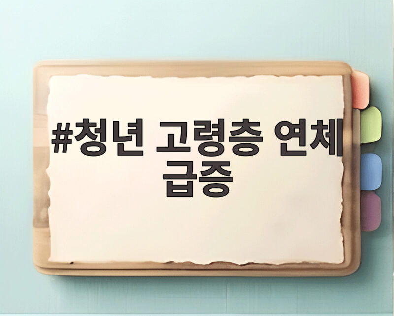 청년 고령층 대출 연체 급증 위험 1 청년 고령층 연체 급증