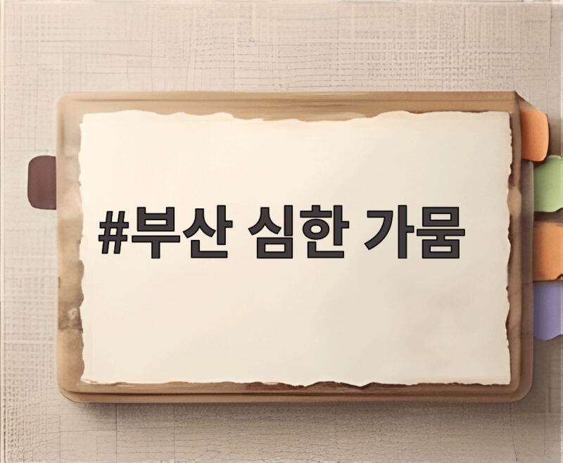 부산 심한 가뭄 8월 강수량 전망과 대응 1 부산 심한 가뭄