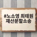 노소영 최태원 재산분할소송
