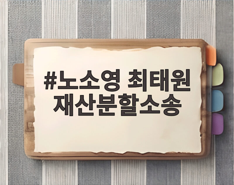 노소영 최태원 재산분할소송