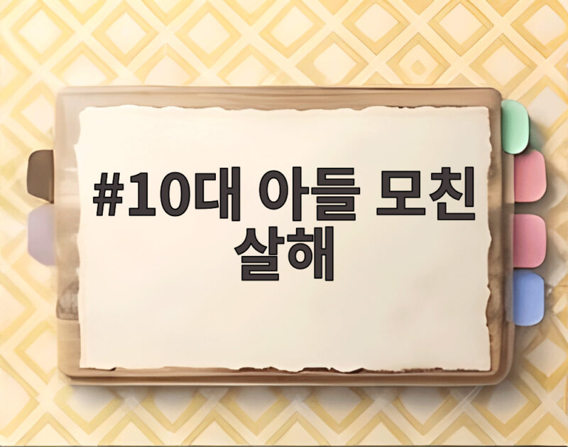 인천 부평 10대 아들 모친 살해 구속 심사 1 10대 아들 모친 살해