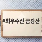 최우수산 금강산