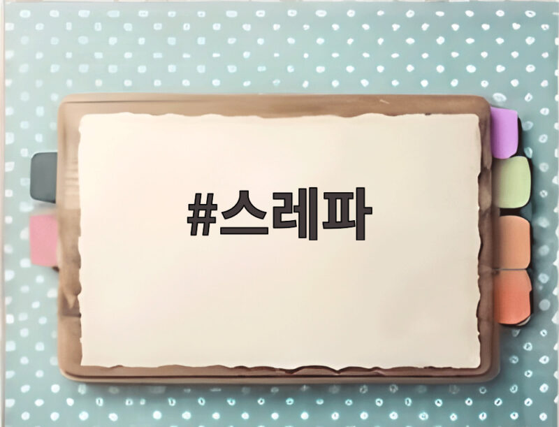 스레파 8화, 놀이공원 100그릇 서바이벌 총정리 1 스레파