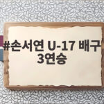 손서연 활약 U-17 여자배구 3연승 손서연 U-17 배구 3연승