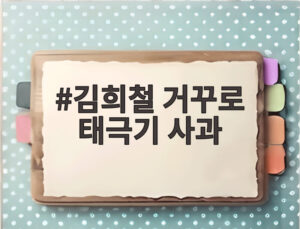 김희철 거꾸로 태극기 사과