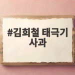 김희철 태극기 사과